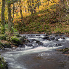Autumn Along The East Lyn River