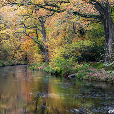 Autumn River Teign II