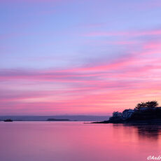 Appledore Dawn