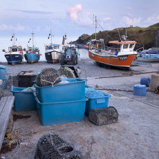 Cadgwith