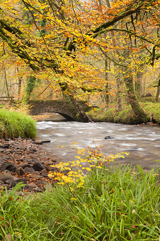 Danes Brook