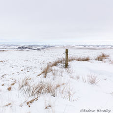 Hangley Cleave