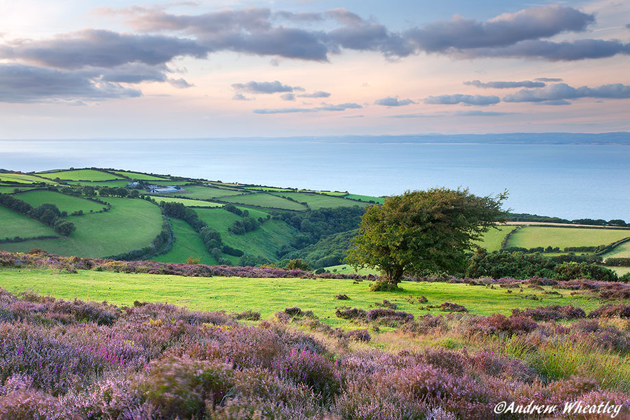Porlock To Culbone