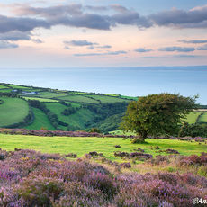 Porlock To Culbone