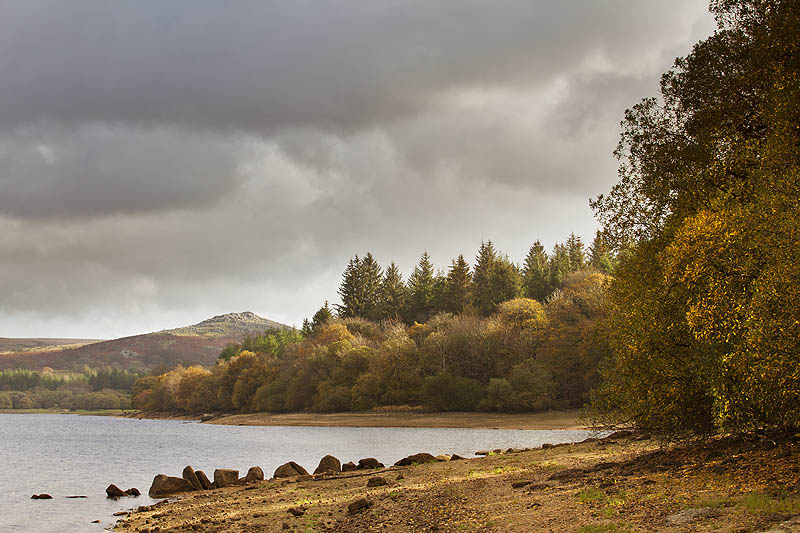 Burrator Reservoir And Down Tor