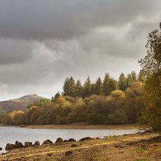 Burrator Reservoir And Down Tor
