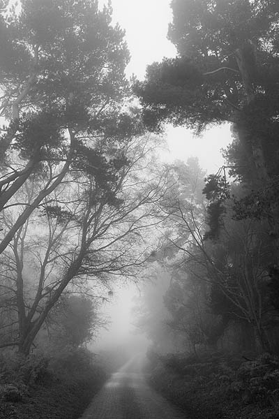 The Road To Dunkery Beacon
