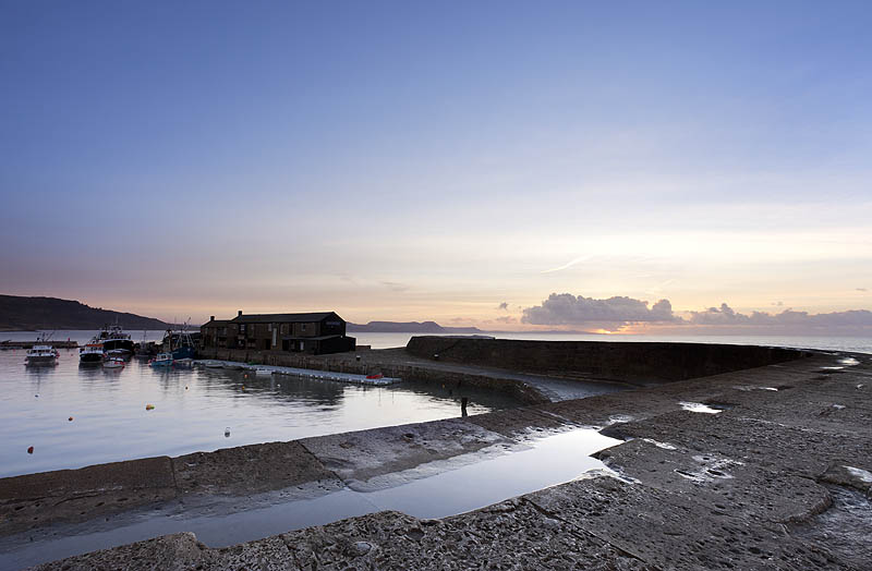 February Dawn At The Cobb