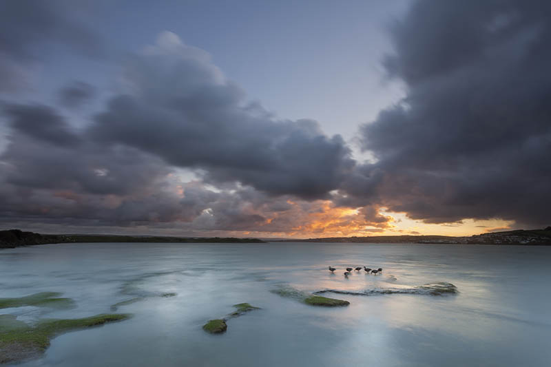 Feeding At Dawn