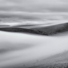 Dartmoor Mist.