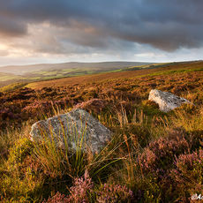 The Whit Stones And Dunkery