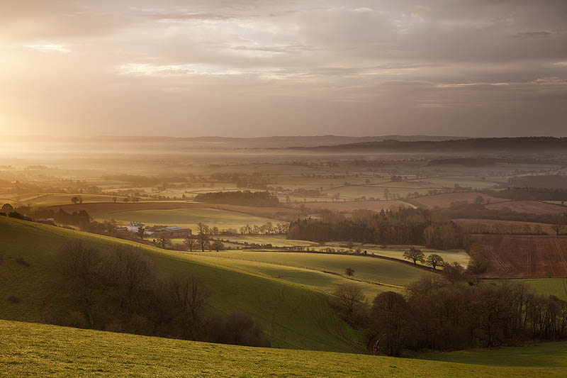 Morning Light On Raddon HIlls