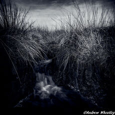 Run Off rain water running off moorland onto footpath