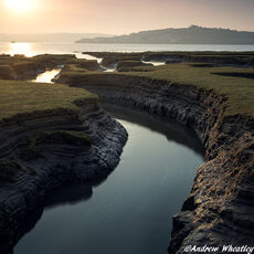 Sunlight On The Salt Marsh