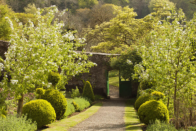 The Walled Garden