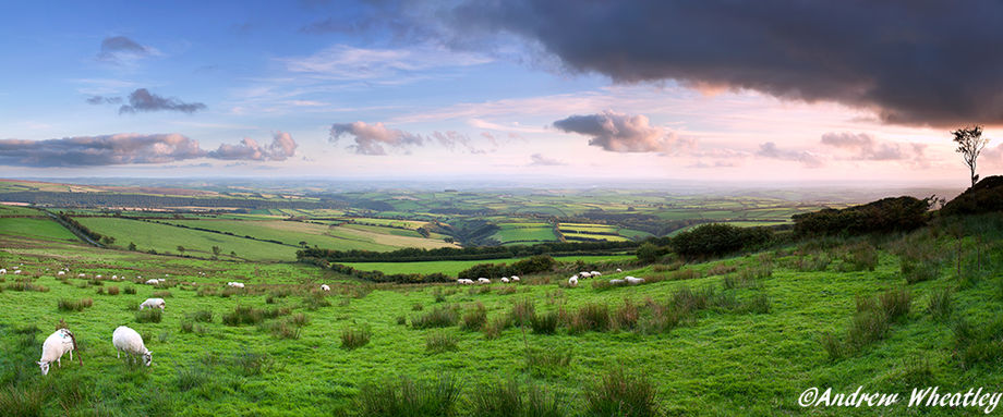 Massive View