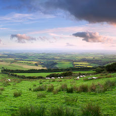 Massive View