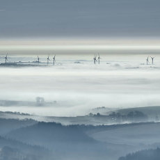 Windmills In The Mist