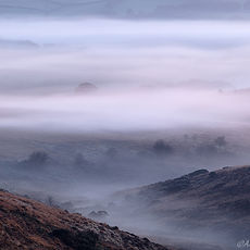 Withypool Mist