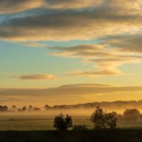 Misty Morning at Brockholes Nature Reserve