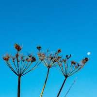 to The Moon