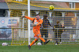 LTFC81