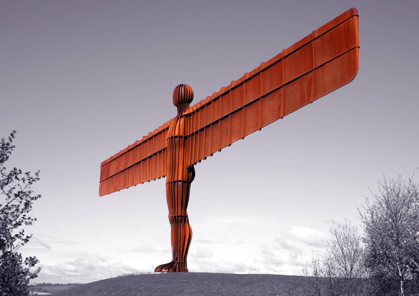 Angel Of The North Gateshead Colour Splash