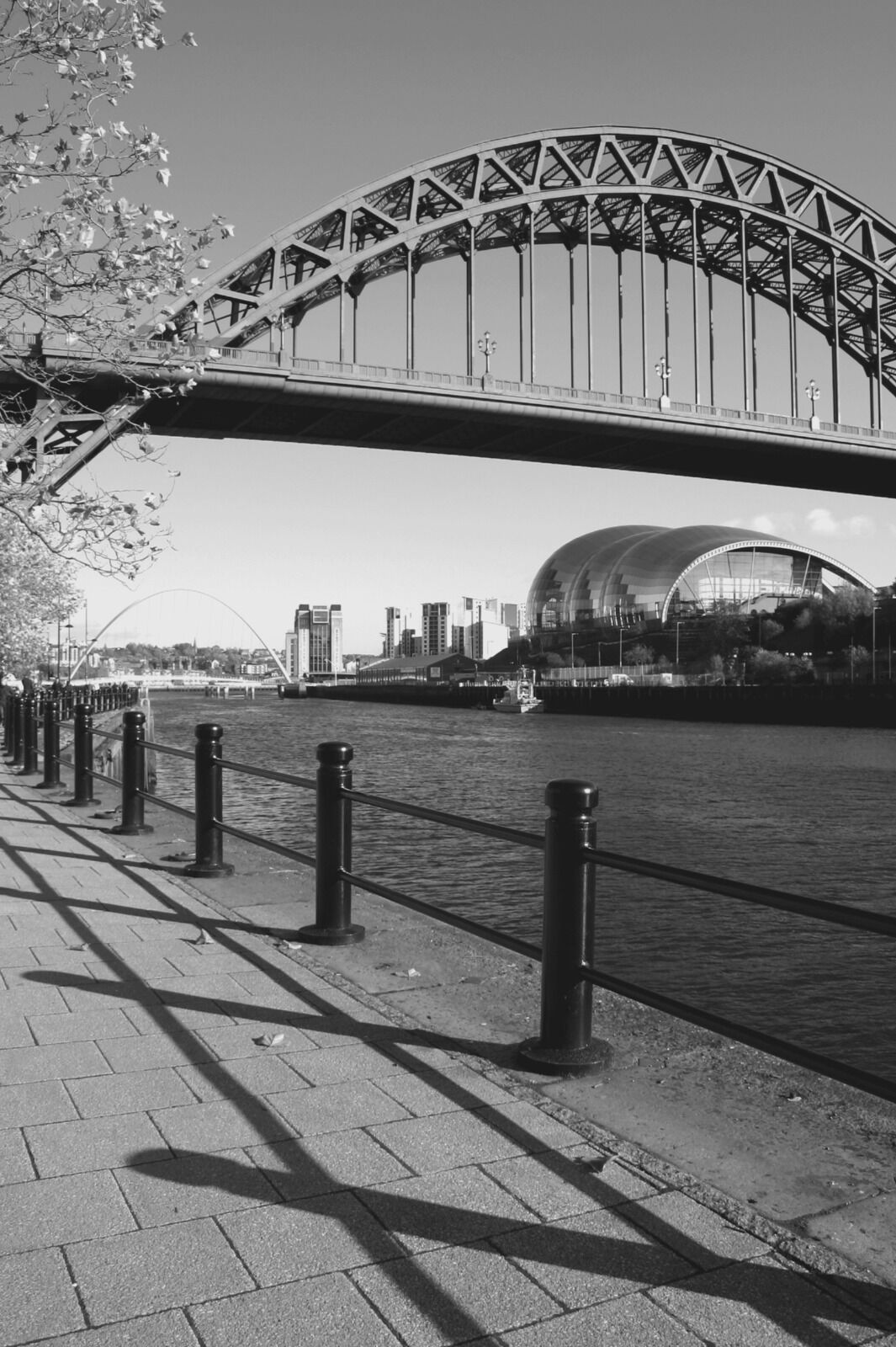 Newcastle Tyne Bridge Autumn
