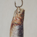 Hanging Sardine
