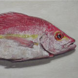 Snapper