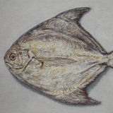 Pomfret