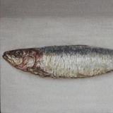 Sardine