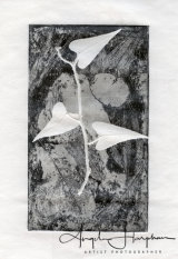 Etching and Embossing Fragility