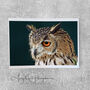 Photograph Eagle Owl