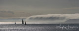 Misty Dawn Scarborough