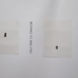 Angela Hodgson-Teall, Drawing Exhibition, Wimbledon College of Art