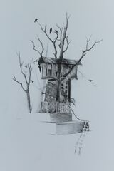 House In The Trees