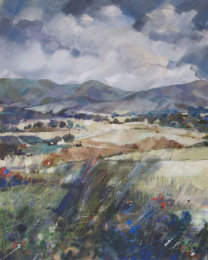 Aberdeenshire Heather Hills