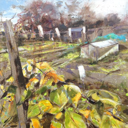 Allotments in Autumn