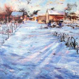 Allotments in the snow, low winter sun