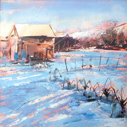 Allotments in the snow 3