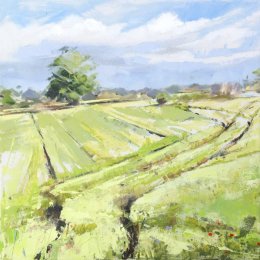 Spring Tracks, Warwickshire
