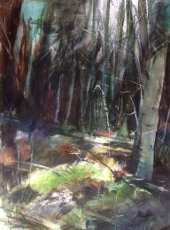 Birch Woodland 2