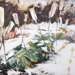 Bottles and canes in the snow