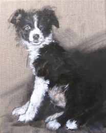 Fenna