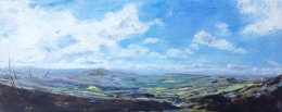 Shropshire Panorama