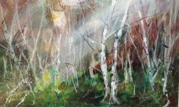 Silver Birch Wood