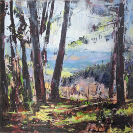 Summer Woodland