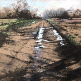 Warwickshire field