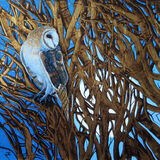 'Blue Moon'